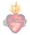 Sacred Heat of Jesus